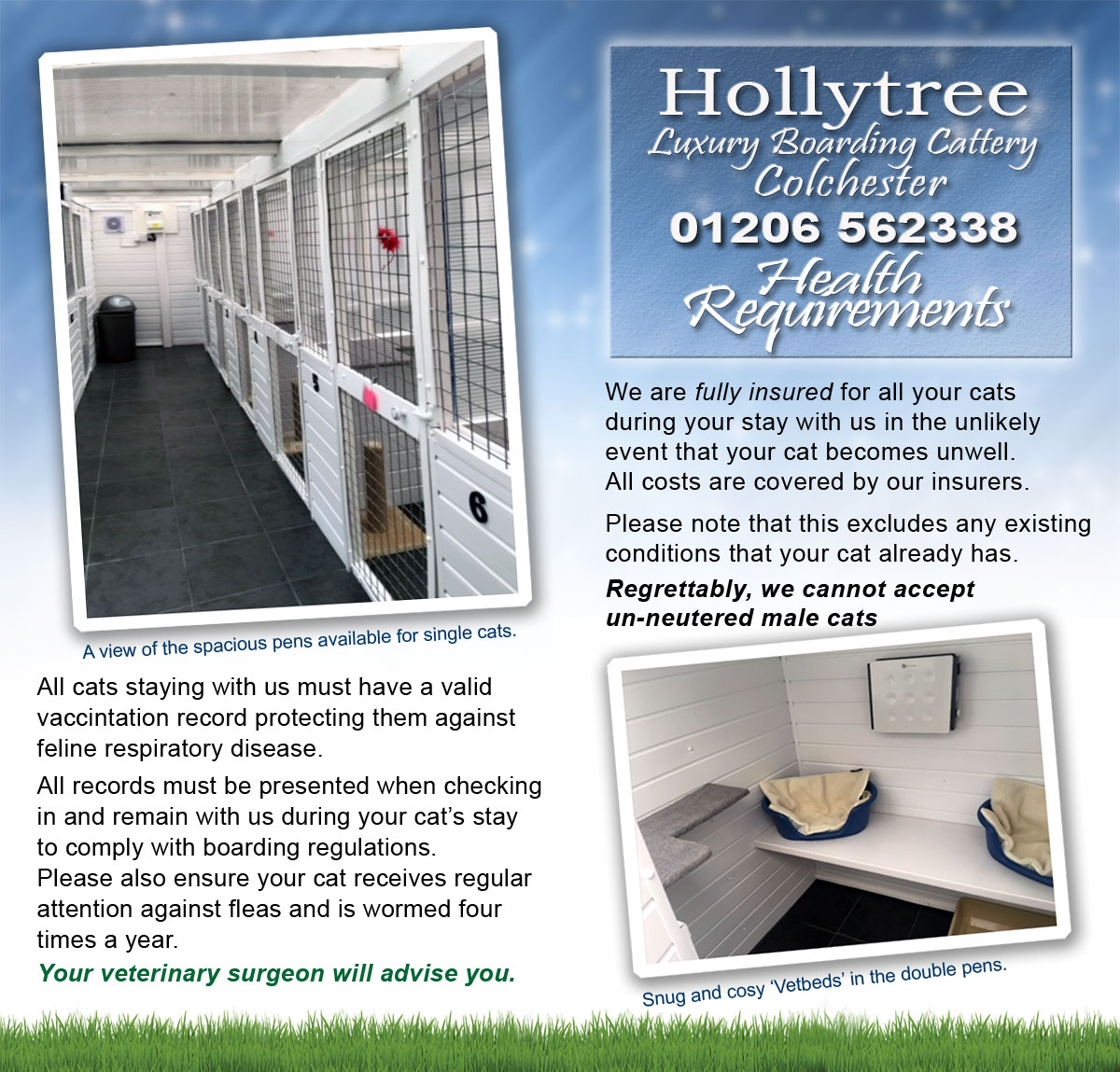 Hollytreecattery01