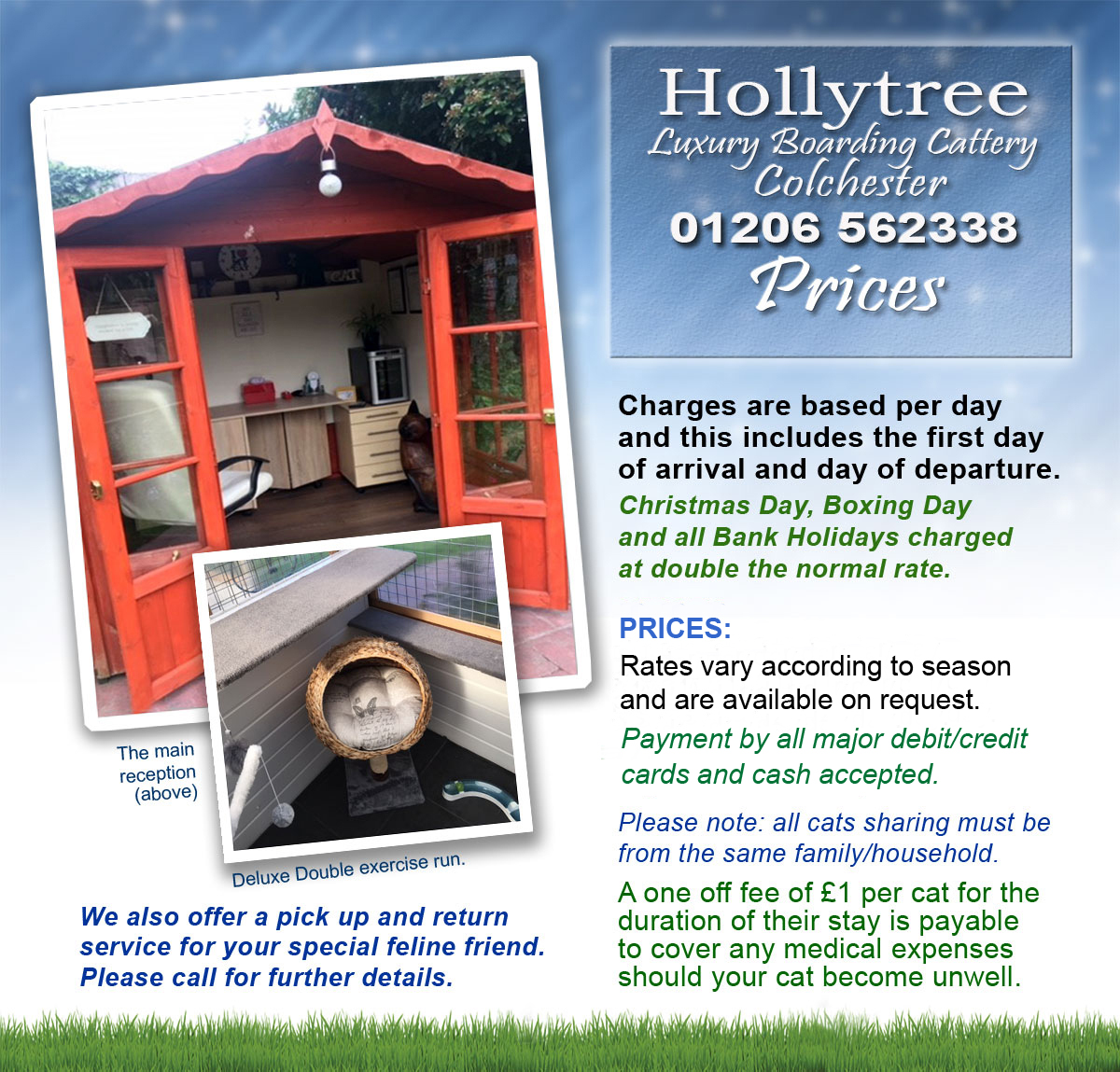 Hollytreecattery01